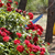 image 3 0f 10